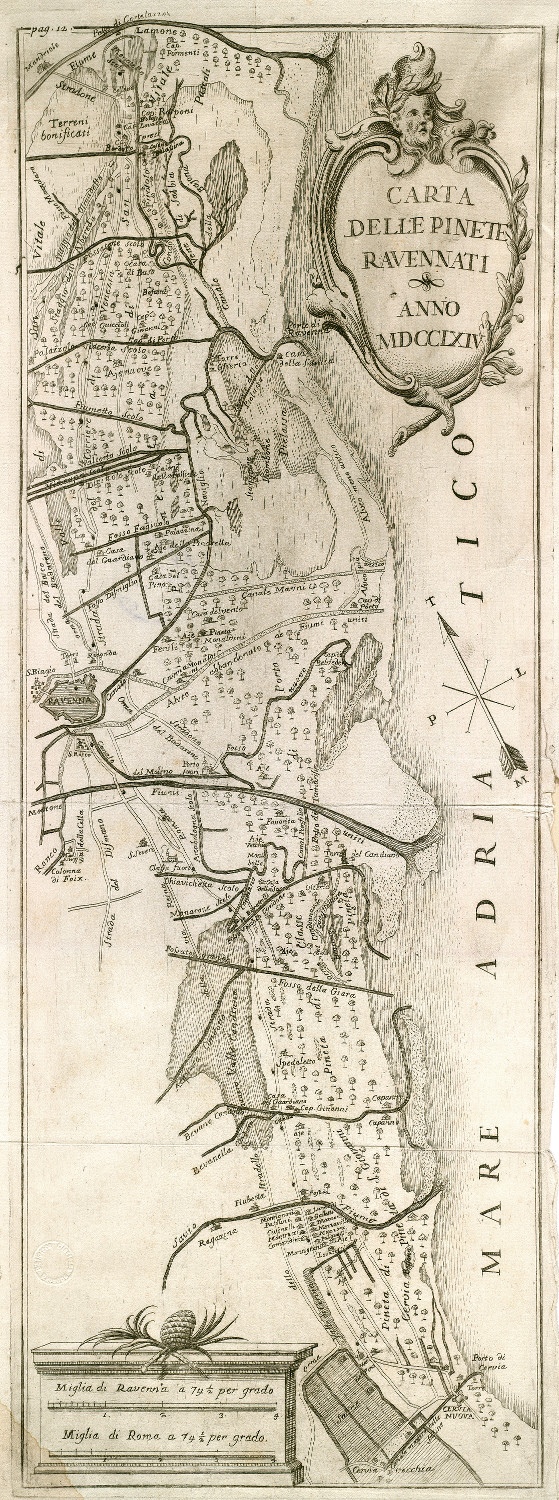 Carta delle pinete ravennati
autore: Francesco Ginanni
data: 1764
dimensioni: cm 43x15,5
contenuta in: F. Ginanni, Istoria civile e naturale delle pinete ravennati, G. Salomoni, Roma, 1764, fra le pp. 12 e 13

