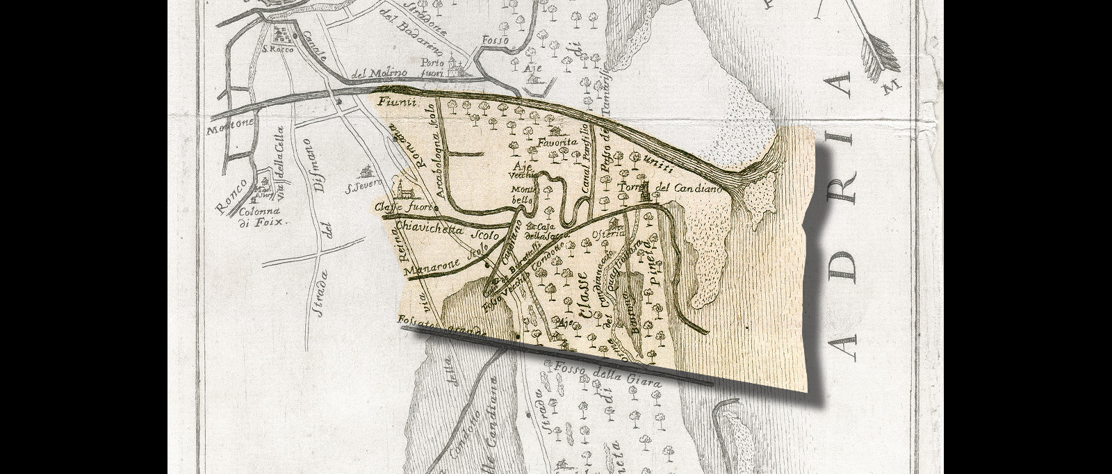 1764#Ginanni 1764